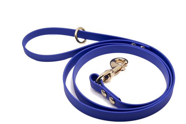 leash master