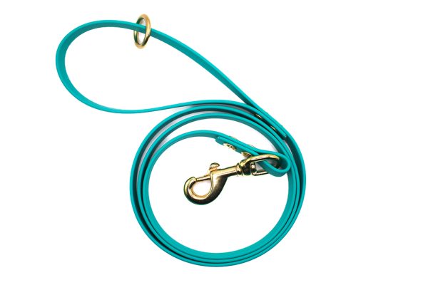 leash master