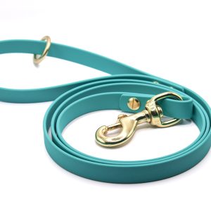 leash master