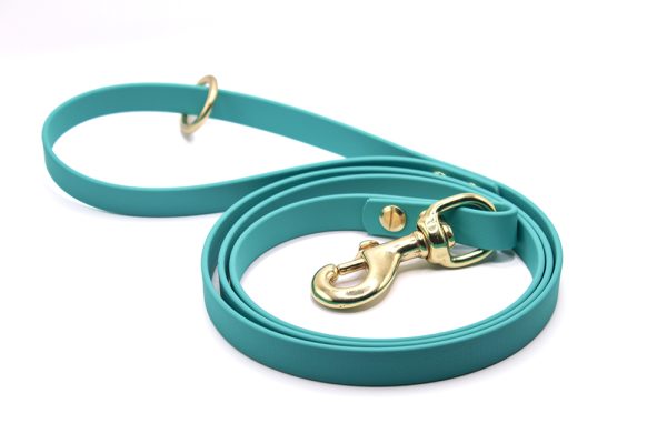 leash master