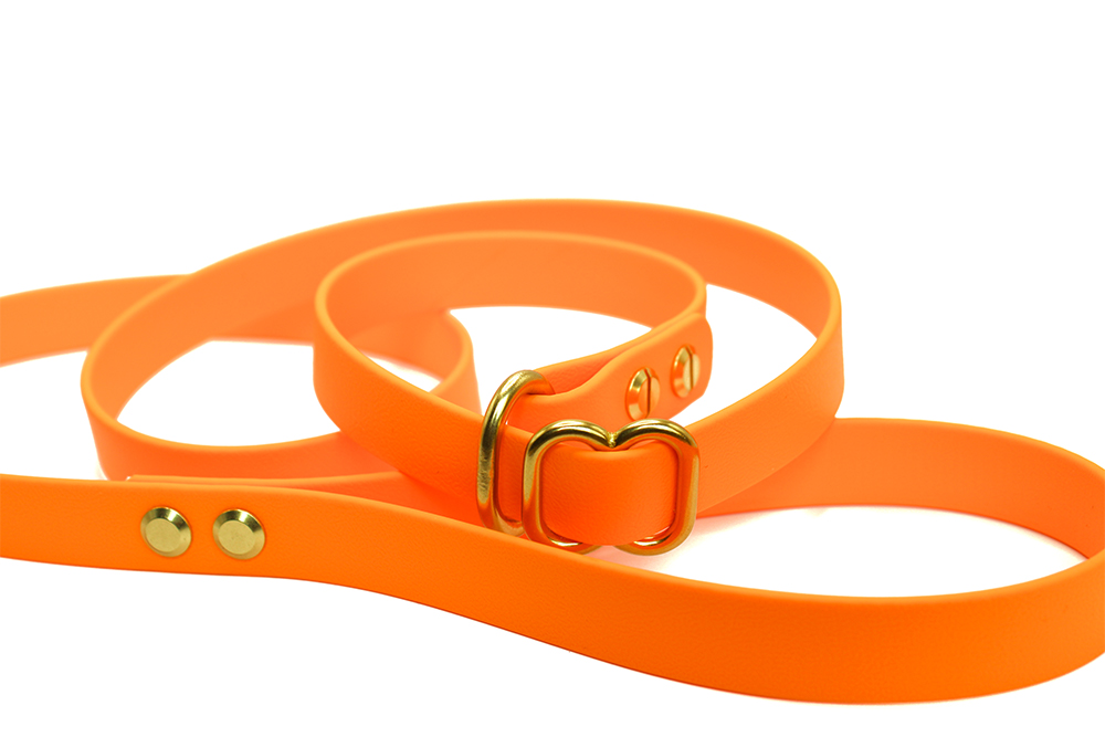 lead master dreamsicle