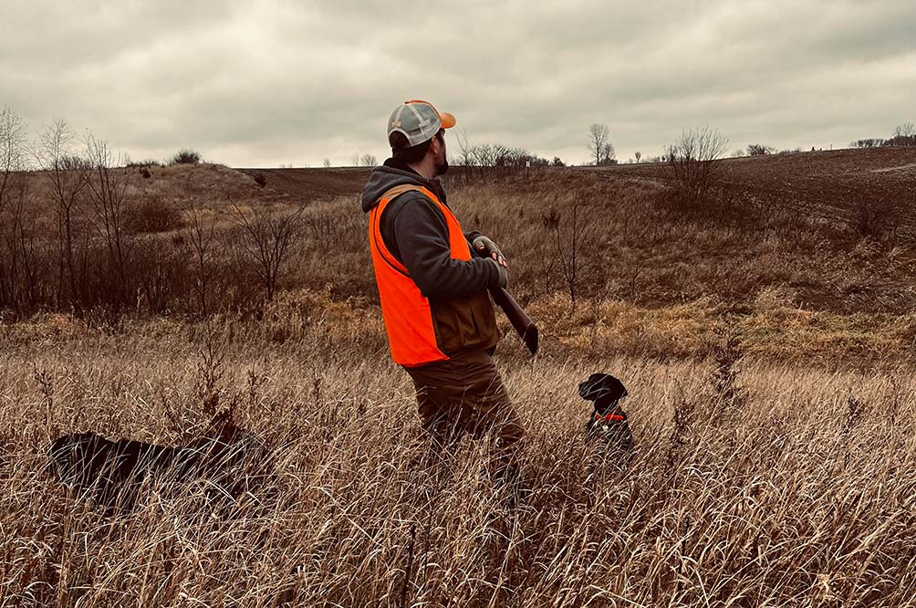 Dogs and hunter in field